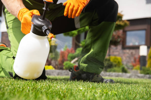 Best Flea Control Services  in Shady Side, MD