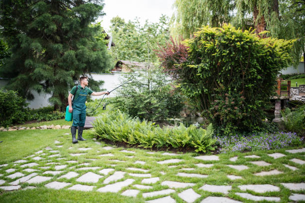 Best Wasp Removal Services  in Shady Side, MD