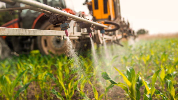 Best Mosquito Control Services  in Shady Side, MD