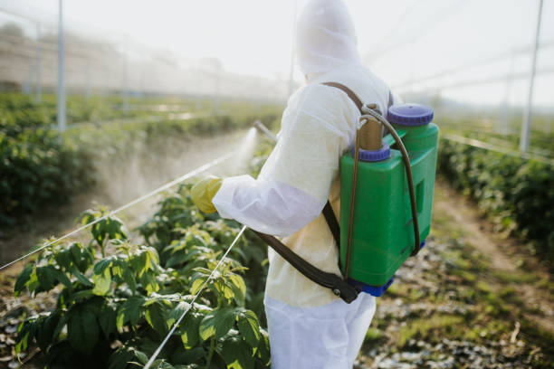 Best Best Pest Control Companies  in Shady Side, MD